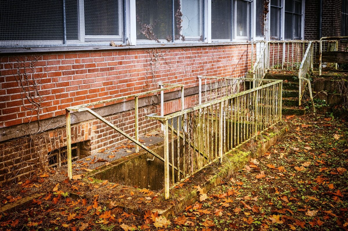 Hydroponics for Small Spaces: How to Set Up a Basement Grow That Actually Works