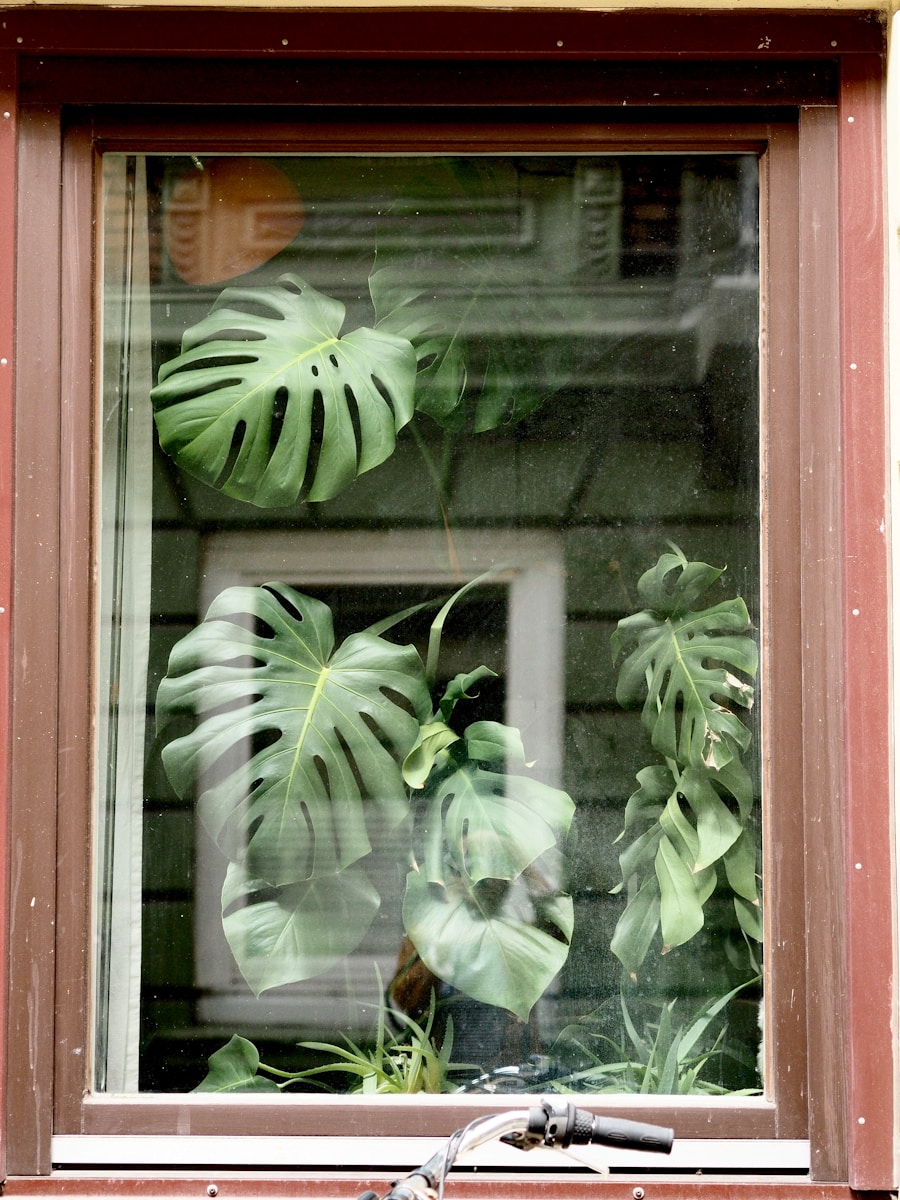 Hydroponic Gardening Without a Dedicated Space: Countertops and Windowsills