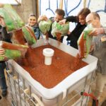 Hydroponic Growing Mediums for Beginners: Choosing the Right Substrate growing medium