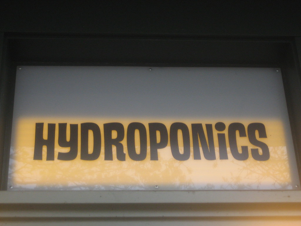 Roots & Routes hydroponics