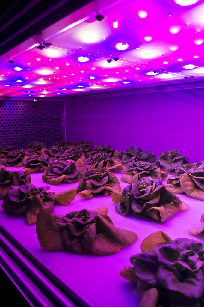 Aeroponics