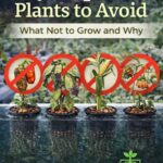 Hydroponic Plants to Avoid