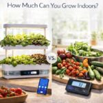 Tabletop Hydroponic System Yield: How Much Can You Grow Indoors? Tabletop Hydroponic System Yield
